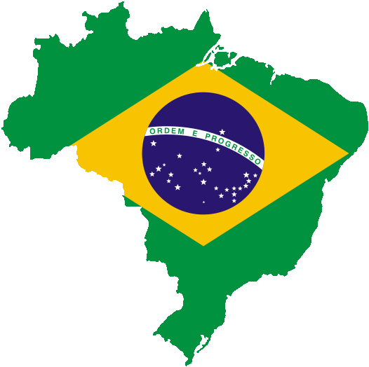bandeira brasil nilko 